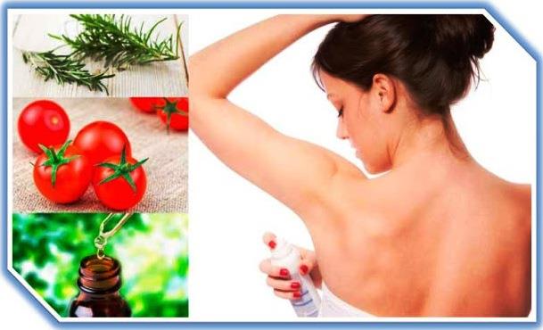 Get Rid of Onion Breath