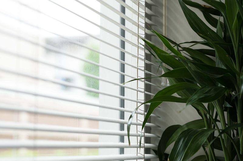 Plantation Shutters.