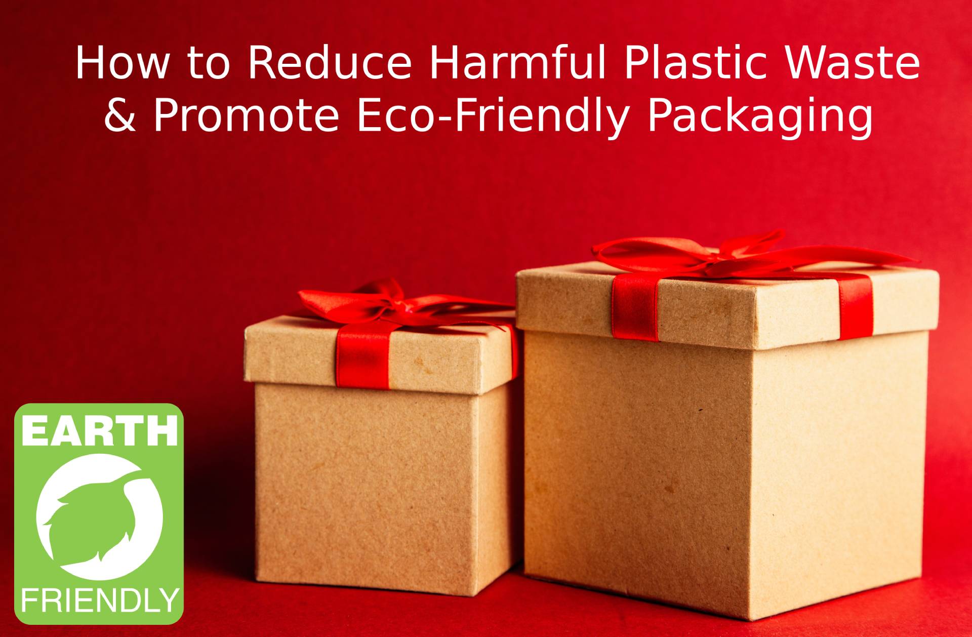 Eco-friendly-packaging-1666070 (1)