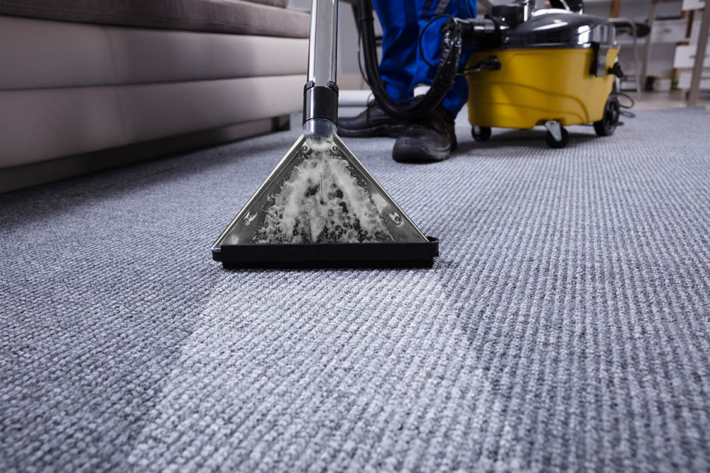 Upholstery Cleaning