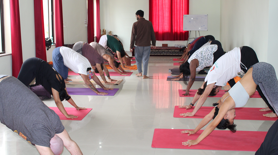 yoga teacher training