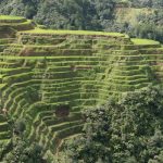 Banaue-terrace
