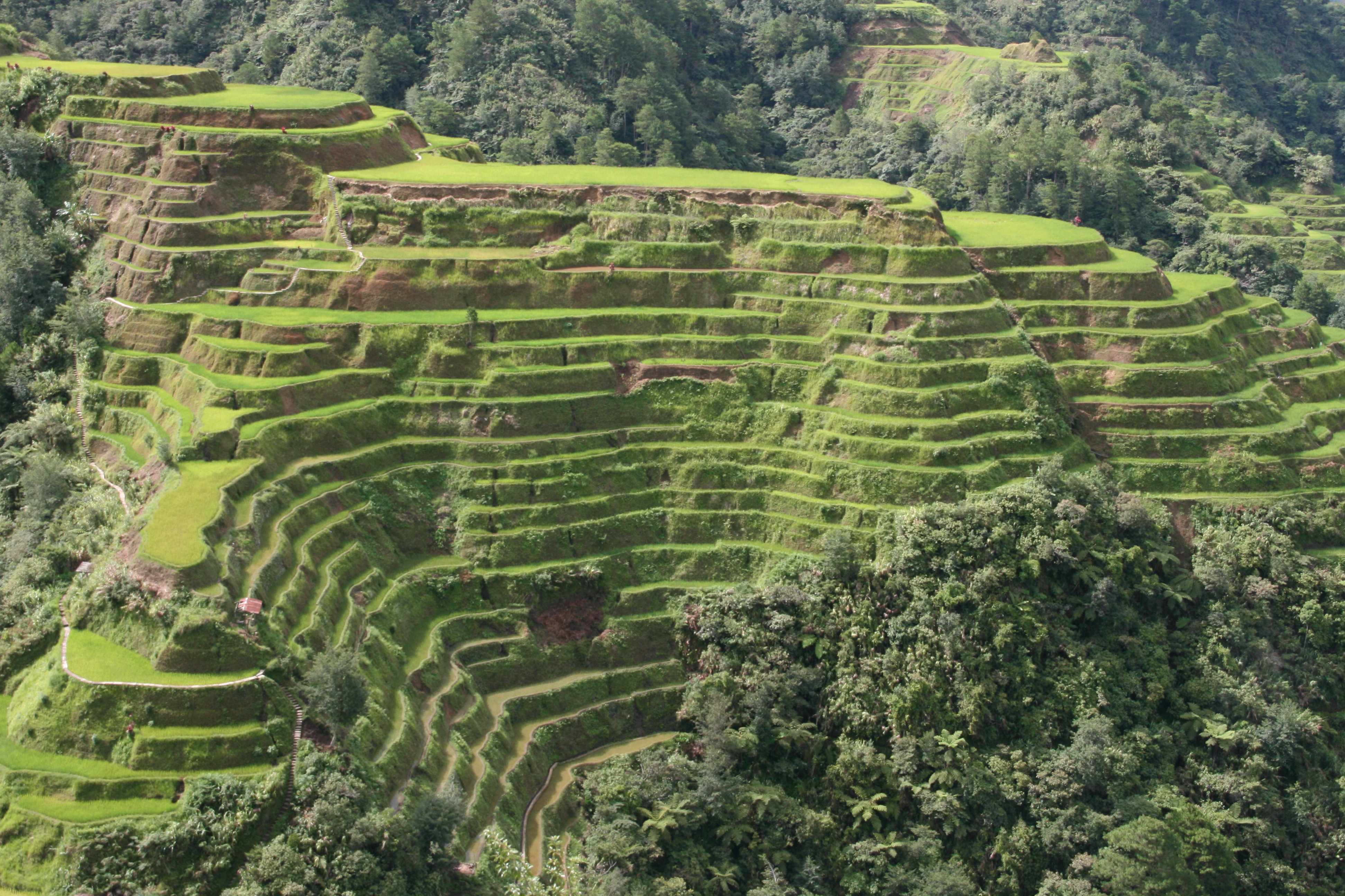 Banaue-terrace
