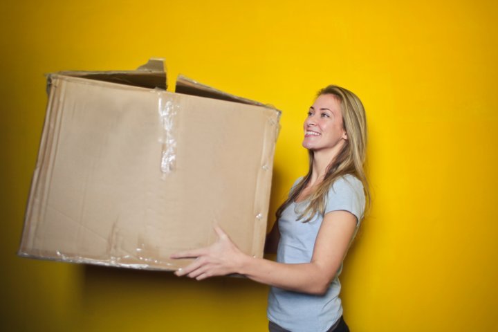 Professional Mover