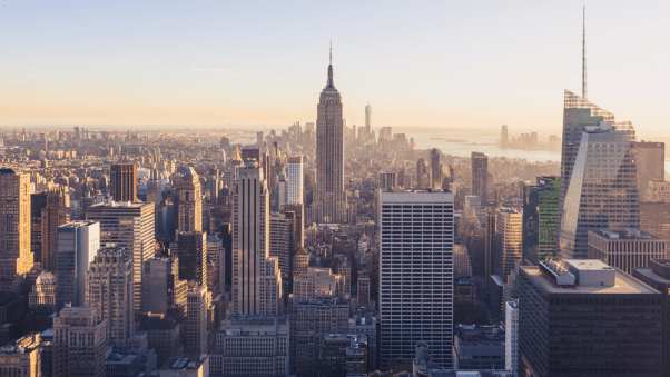 Business Owner in New York