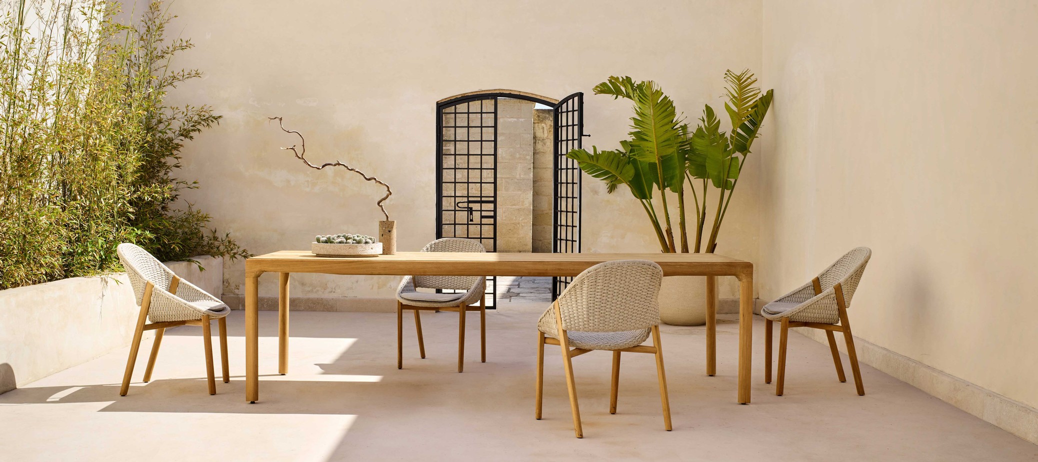 Furniture Chairs