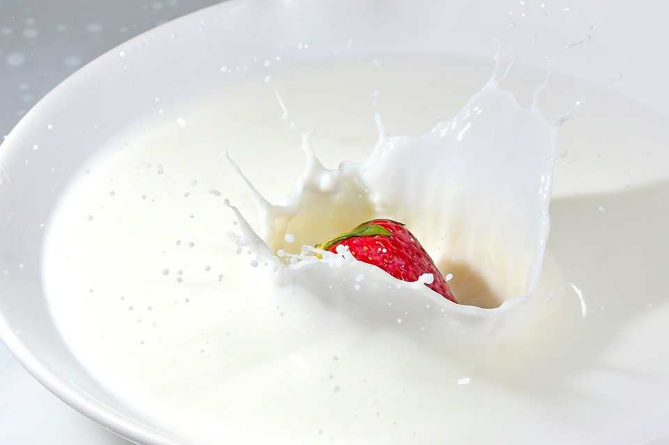 milk-4082580_960_720