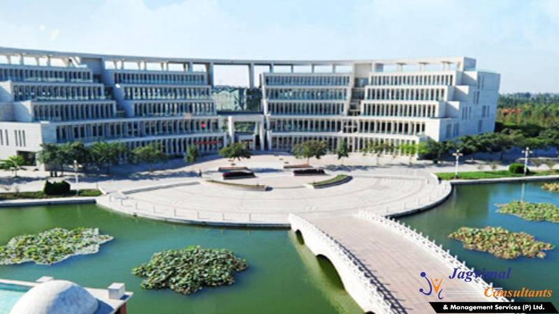 shandong-university