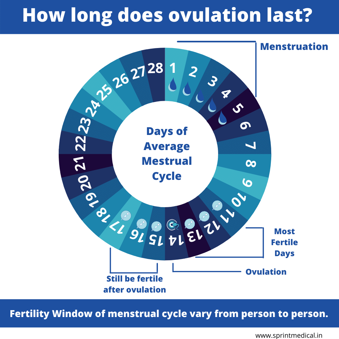 Copy_of_How_long_does_ovulation_last-41ca1e69