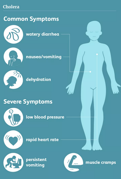 Cholera