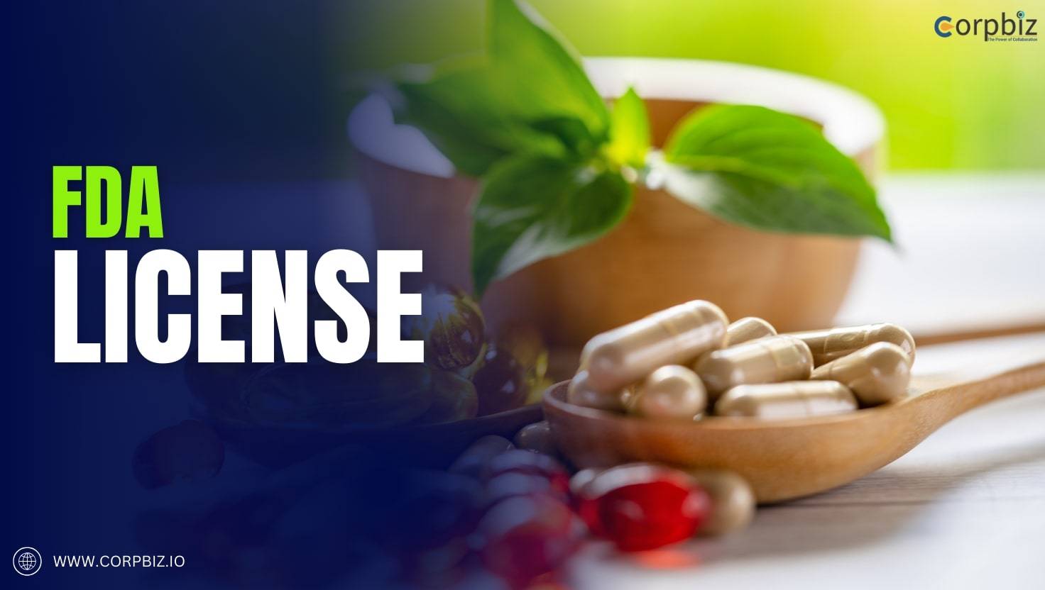 fda license