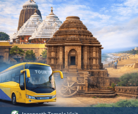 Theme Tour Packages in Puri