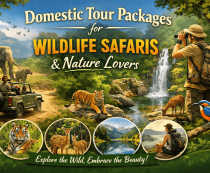 Domestic Tour Packages