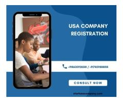 USA Company Registration