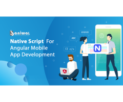 AngularJs Native App Development Services #baniwalinfotech