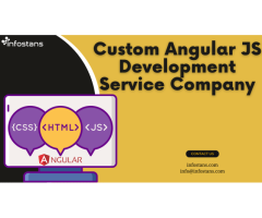 Custom Angular JS Development Service Company
