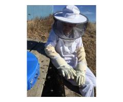Buy Beekeeping Equipment At Affordable Prices