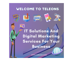 What services does Teleons offer?