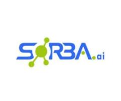 AI Software Solutions