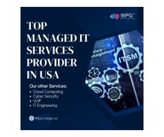 Top Managed IT Services Provider in USA
