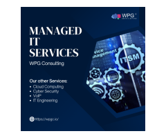 Managed IT Services Provider in USA | WPG Consulting