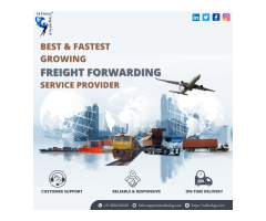 International Ocean Freight Forwarding Service | Sea Freight Logistics