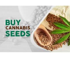 Buy Marijuana Seeds Online With Mom Seed Bank