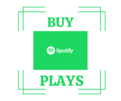 Buy Spotify plays from best place