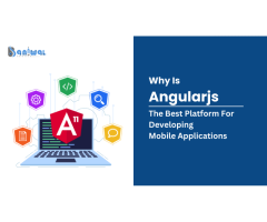 Baniwal Infotech: #AngularJs Native App Development