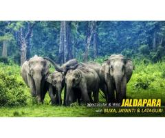 Dooars Jaldapara Elephant Safari Package at Best Price