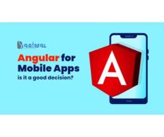 Professional #AngularJs Mobile App Development #baniwalinfotech