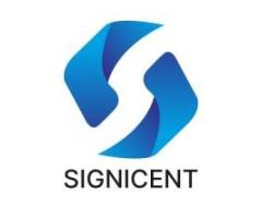 Technology Assessment & Valuation - Signicent LLP