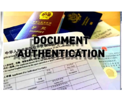 Professional Chinese Notary Public Services
