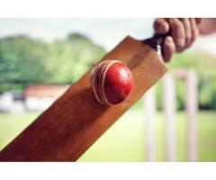 Ultimate Guide To The Choosing the Best Online Cricket ID