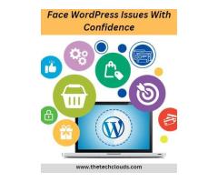 Face WordPress Issues With Confidence
