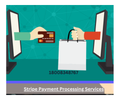 Stripe Payment Processing Services