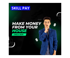 Make money from Home on Skillpay