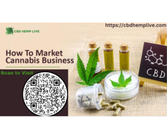 Unleashing the Power of SEO for Dispensaries and Hemp Agency