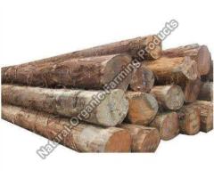 Big Teak Wood Logs