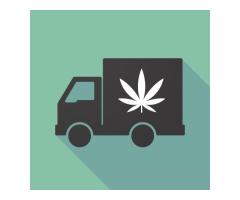 Fast and Reliable Weed Delivery in Fremont | Golden We