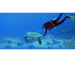 Explore Your Diving In Larnaca |  Pissouri Bay Divers