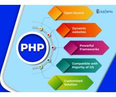 Hire the best PHP web development services in India