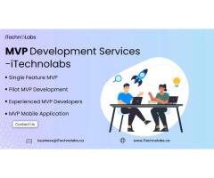 MVP Development Services: Building Your Minimum Viable Product