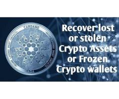 RECOVER YOUR BITCOIN.
