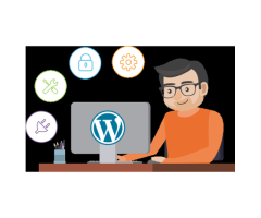 What support services can a WordPress development company provide?