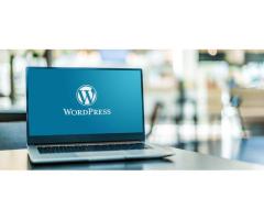 Hire WordPress Programmer India| WordPress Coder For Hire