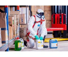 Mold Removal Service by Experts in Sydney Australia