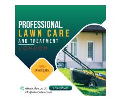 Choose our professional lawn care and treatment service in London