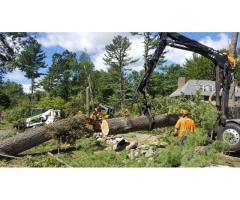 WNC CRUZ TREE SERVICE LLC | Tree Services in Spruce Pine NC