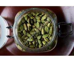Green Cardamom Manufacturer in India